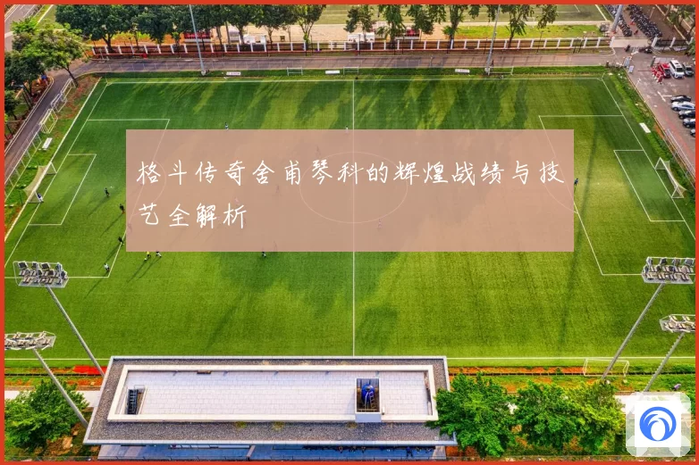 格斗传奇舍甫琴科的辉煌战绩与技艺全解析