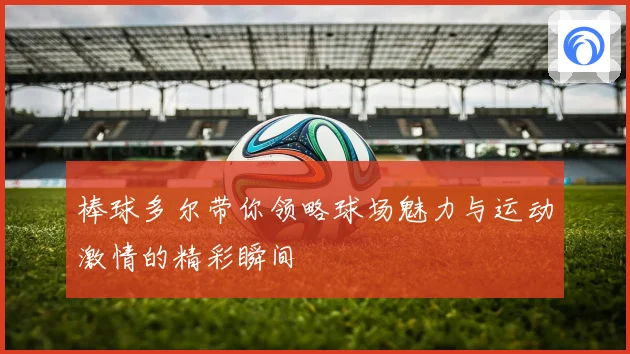 棒球多尔带你领略球场魅力与运动激情的精彩瞬间