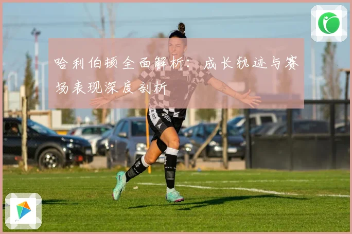 哈利伯顿全面解析：成长轨迹与赛场表现深度剖析