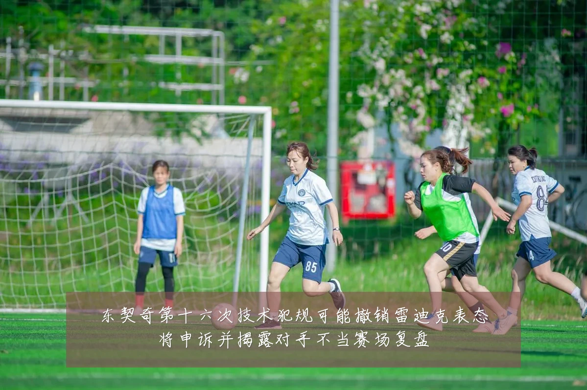 东契奇第十六次技术犯规可能撤销雷迪克表态将申诉并揭露对手不当赛场复盘