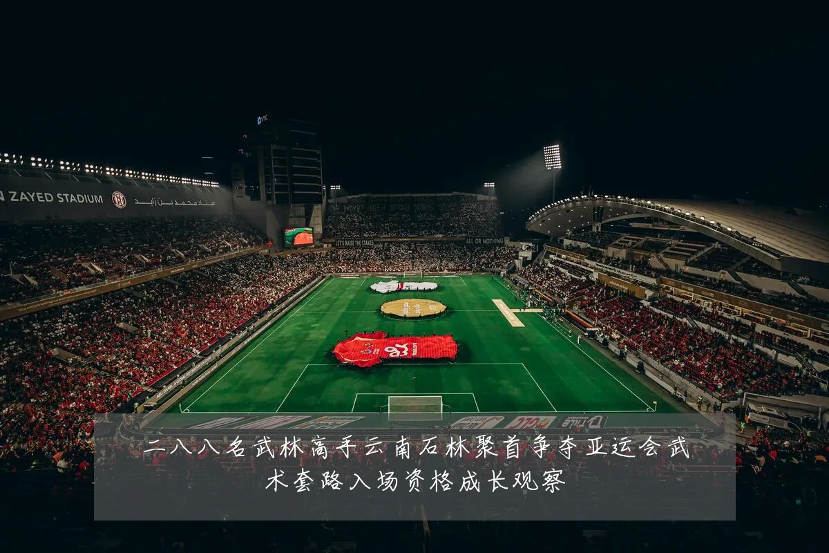 二八八名武林高手云南石林聚首争夺亚运会武术套路入场资格成长观察