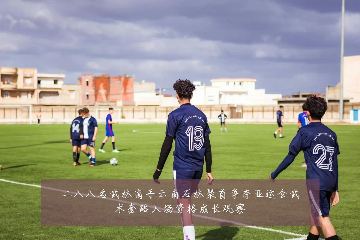 二八八名武林高手云南石林聚首争夺亚运会武术套路入场资格成长观察